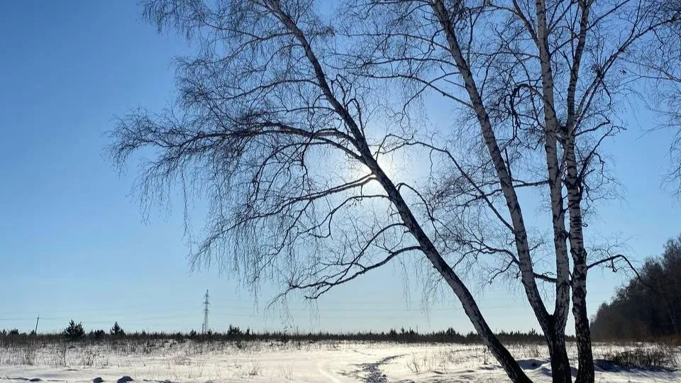 REGIONS/Мария Толстикова