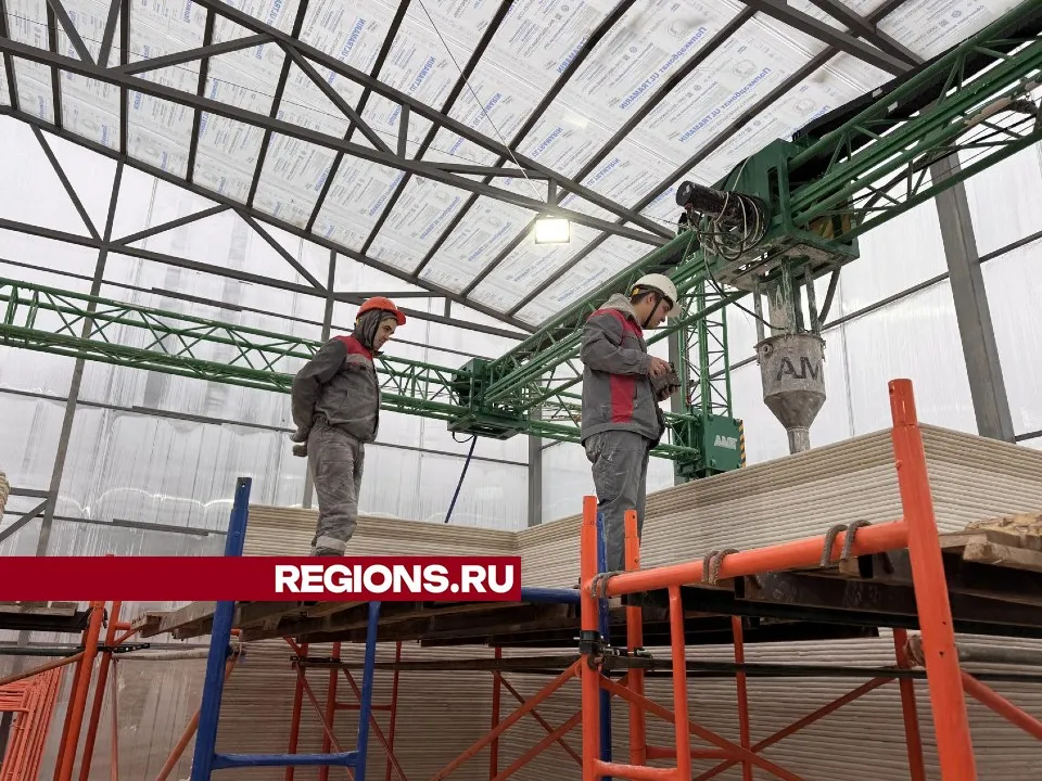 Фото: Мария Шматкова