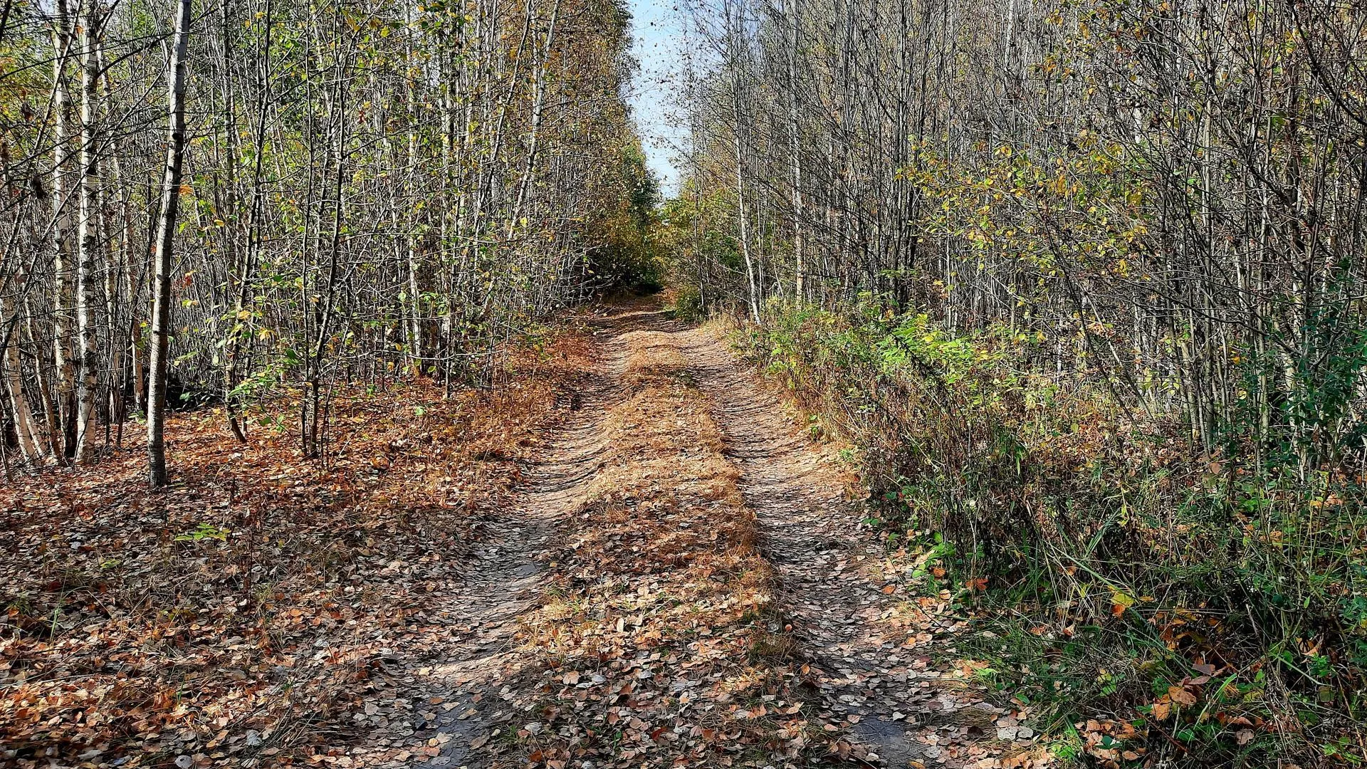 Фото: Михаил Мартыненко