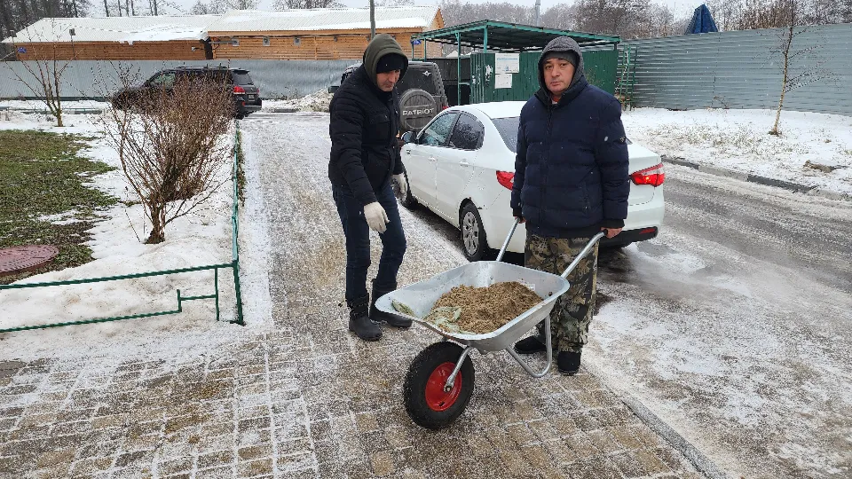 Фото: МедиаБанк Подмосковья/Елизавета Приймак