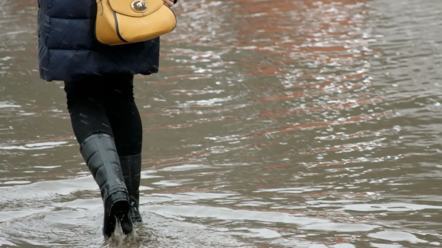 Фото: медиасток.рф