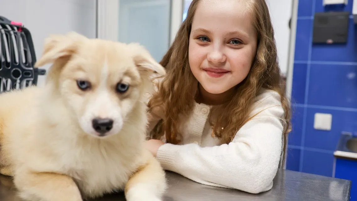 Фото: пресс-служба администрация городского округа Мытищи
