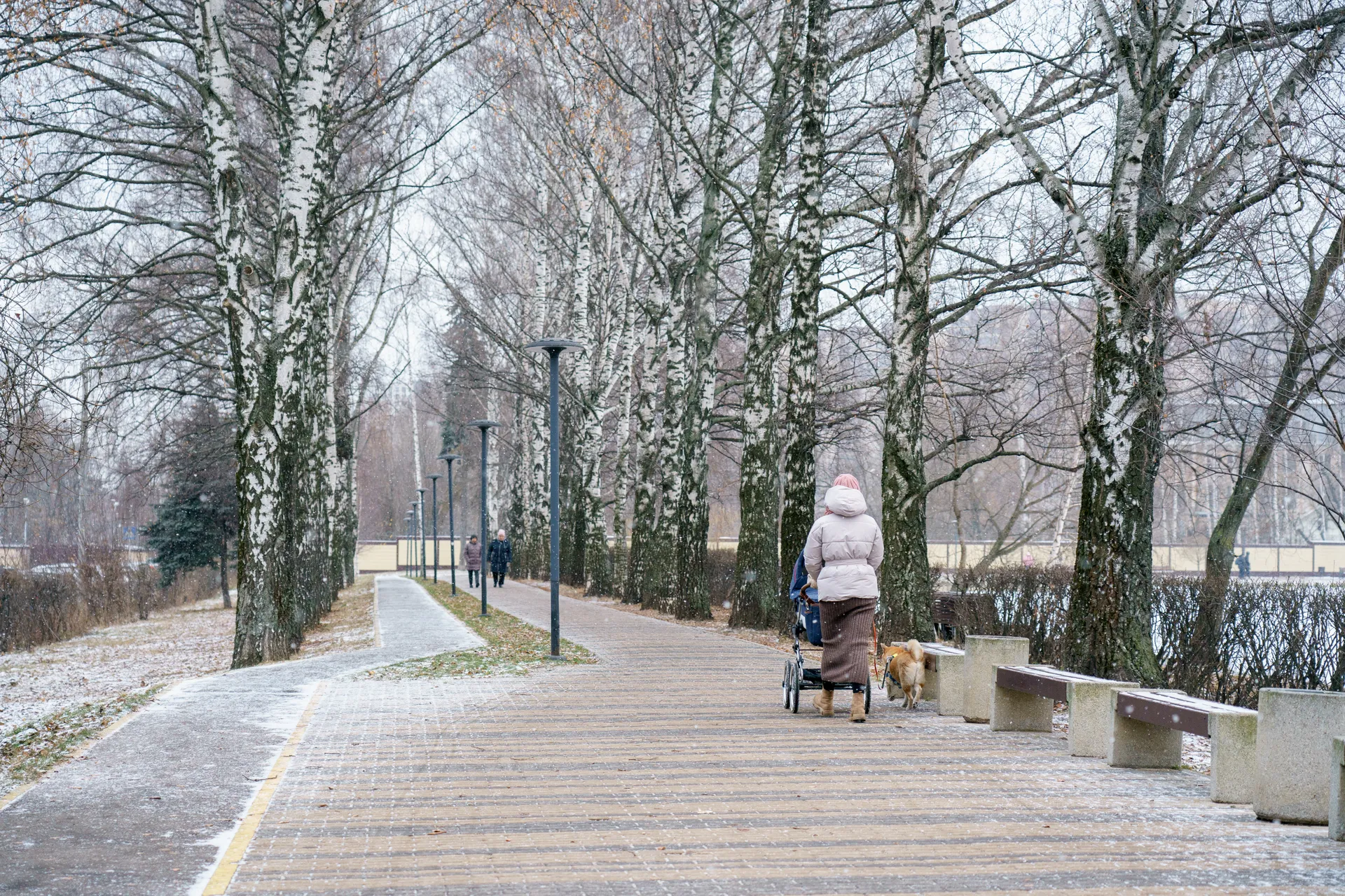 Реутов. Парк «Фабричный пруд». Зима