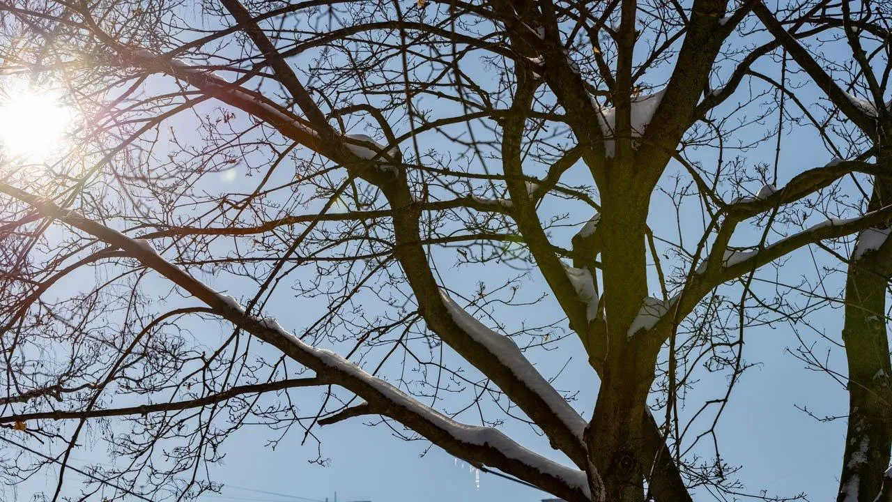 REGIONS/Роман Малышенко