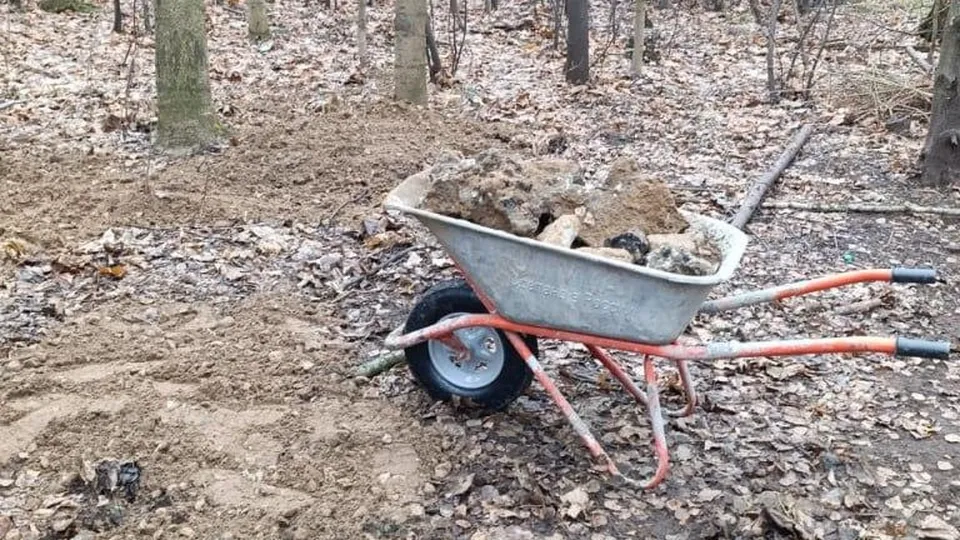 Фото: Комитет лесного хозяйства Московской области