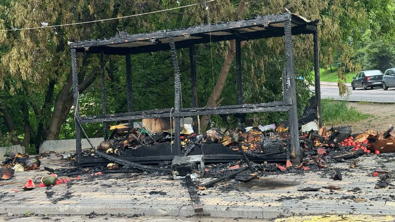 Фото: t.me/balashiha_online_mo