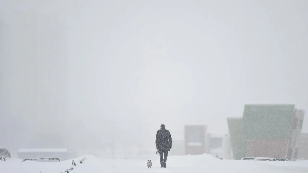Снегопад принес на запад Подмосковья более трети от месячной нормы осадков