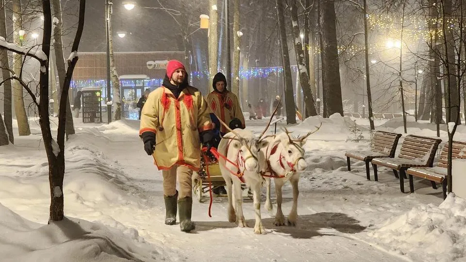 Фото: МедиаБанк Подмосковья/Юлия Смагринская