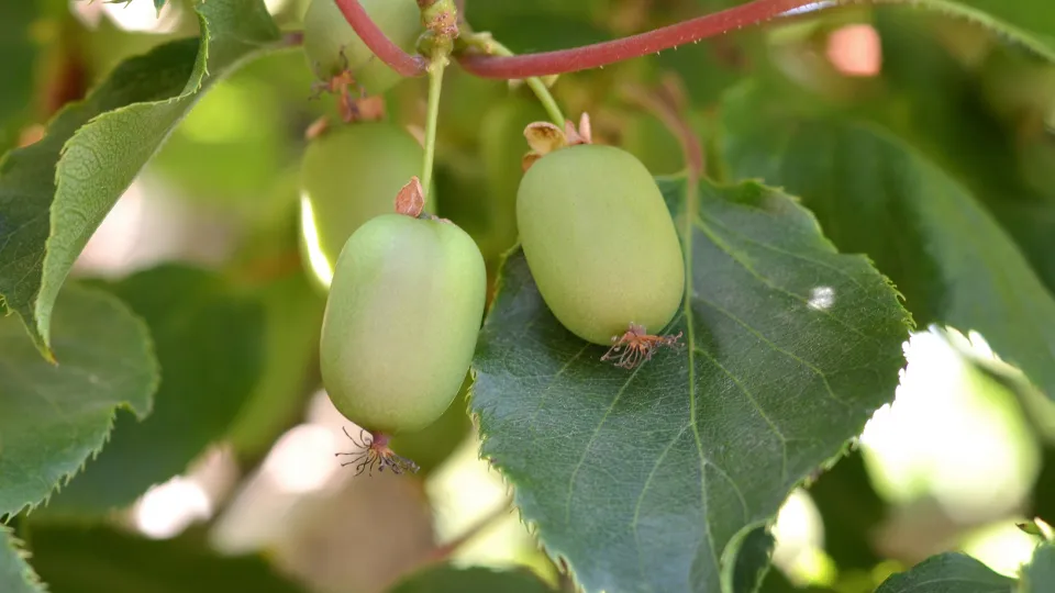 Фото: istockphoto.com