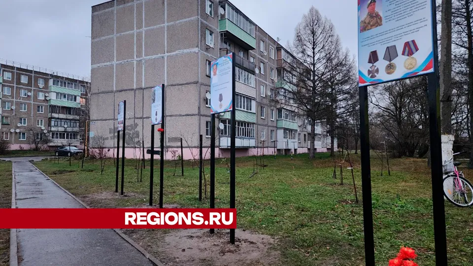 Фото: Юлия Андросова