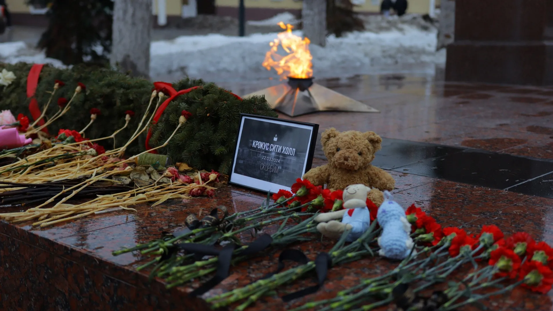 Фото: администрация городского округа Бронницы