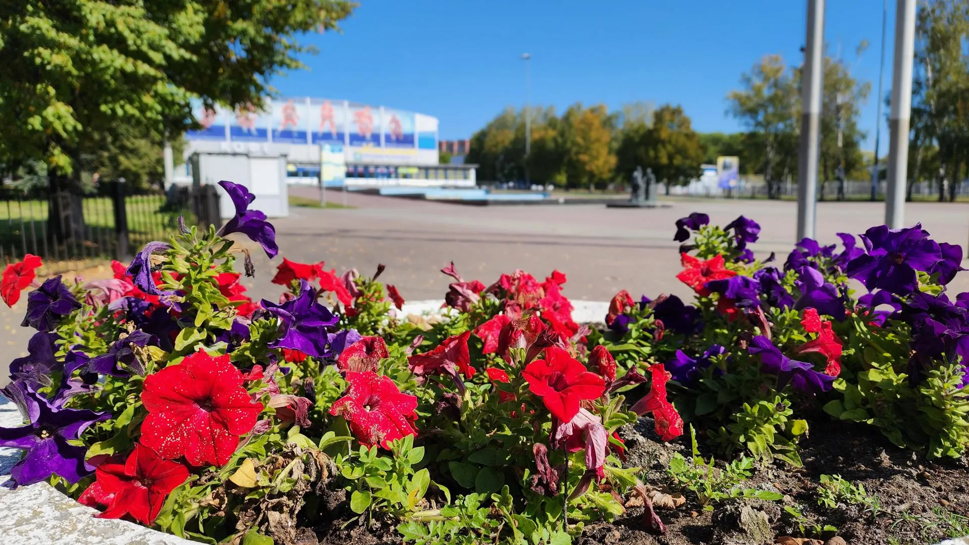 Светлана Плотникова