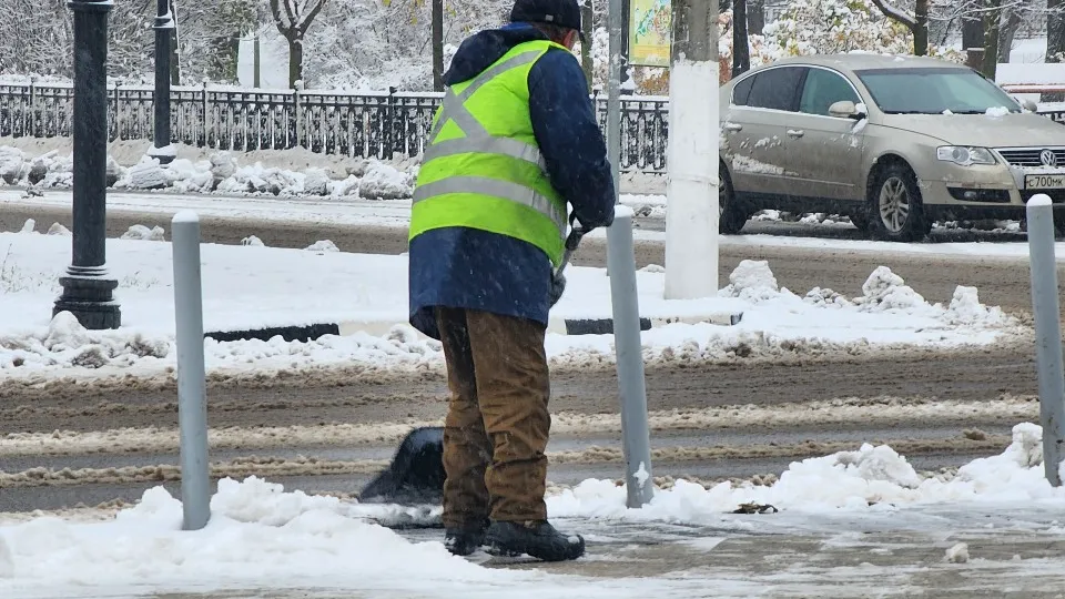 Фото: МедиаБанк Подмосковья/Марина Анисимова
