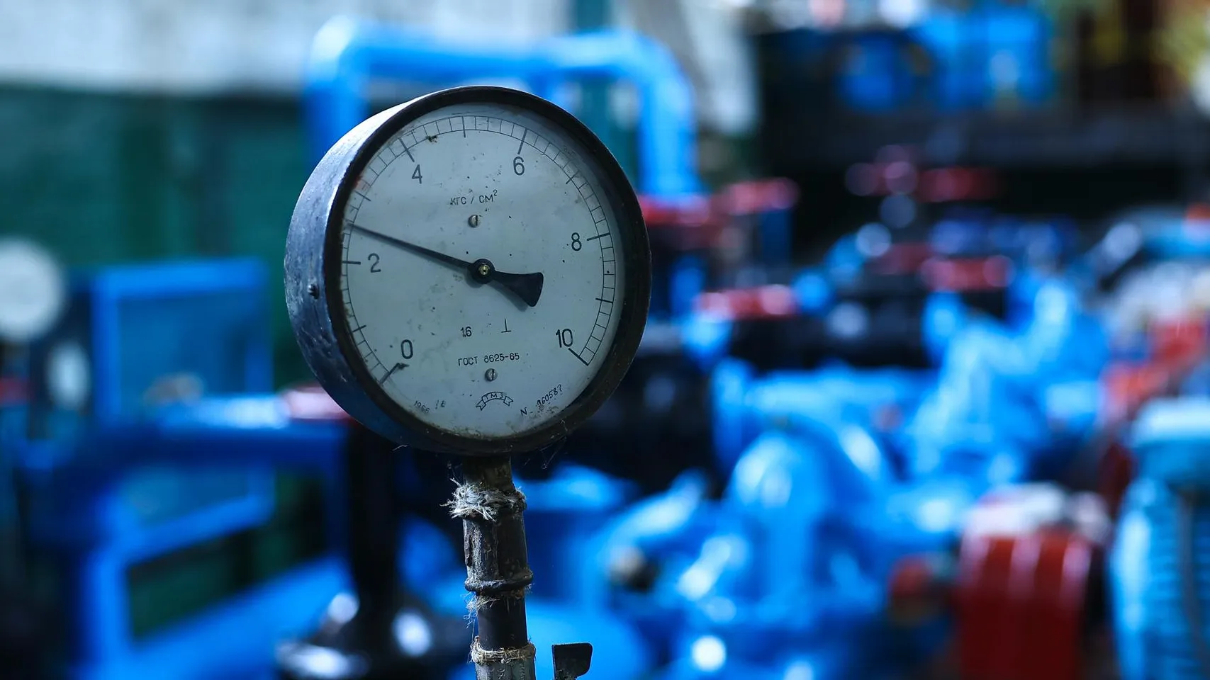 Фото: медиасток.рф