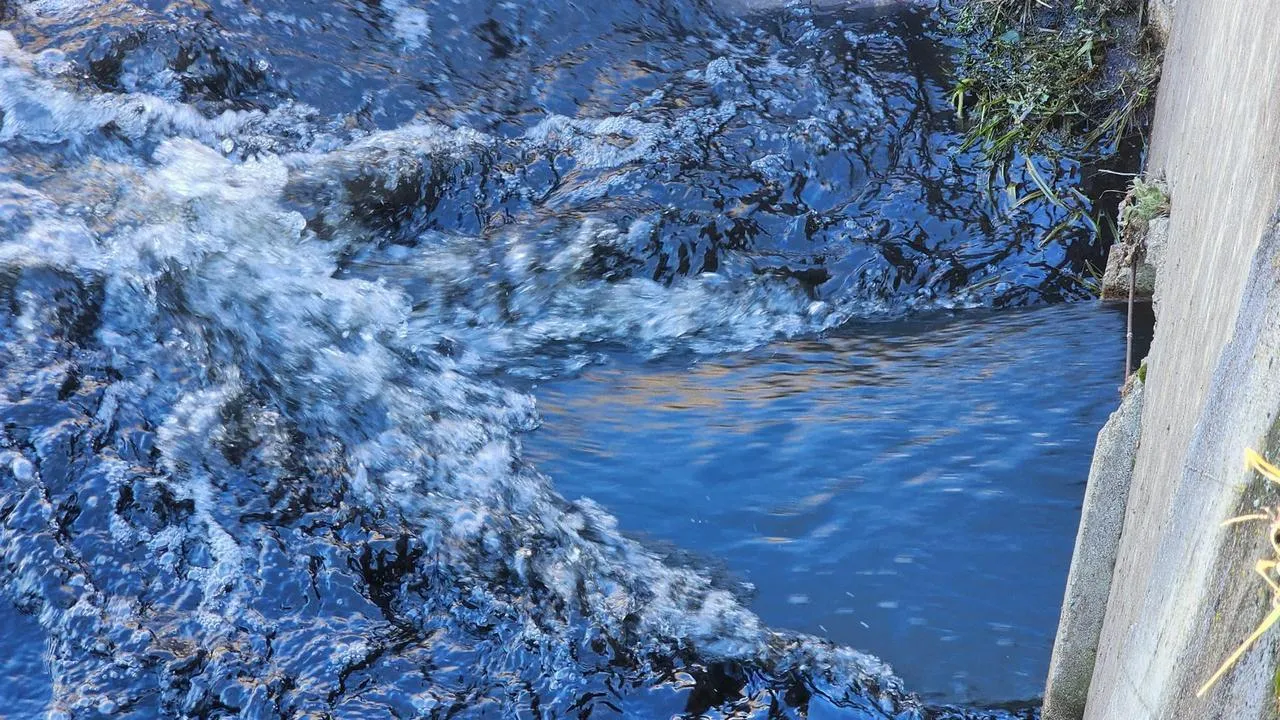 МедиаБанк Подмосковья/Анна Шолохова