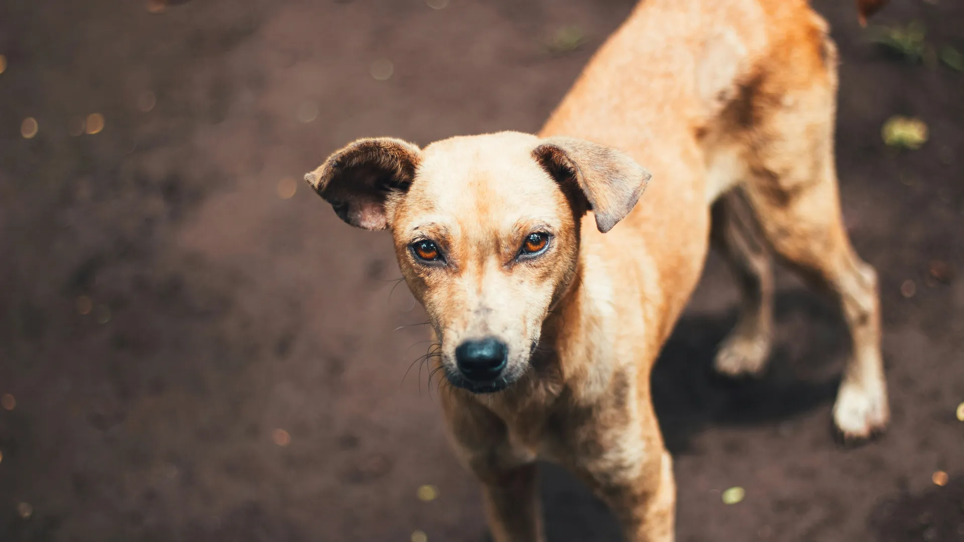 Фото: unsplash.com