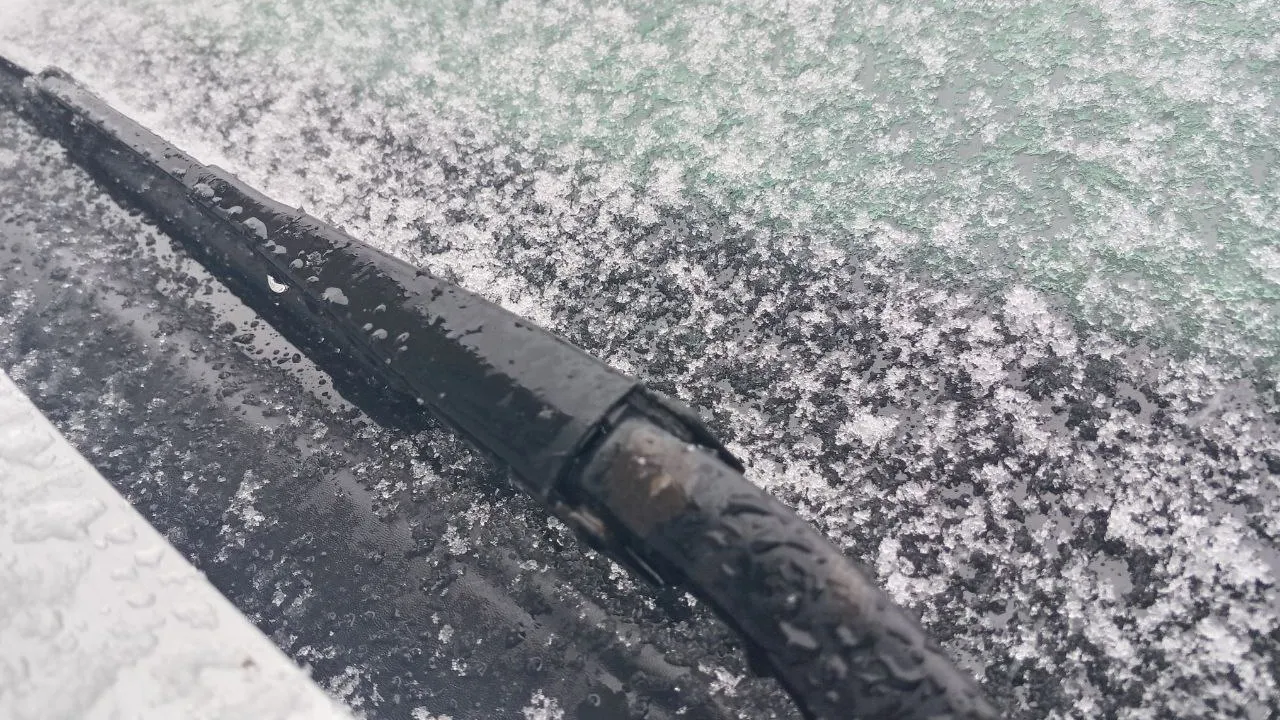 Фото: REGIONS/Василий Тремасов