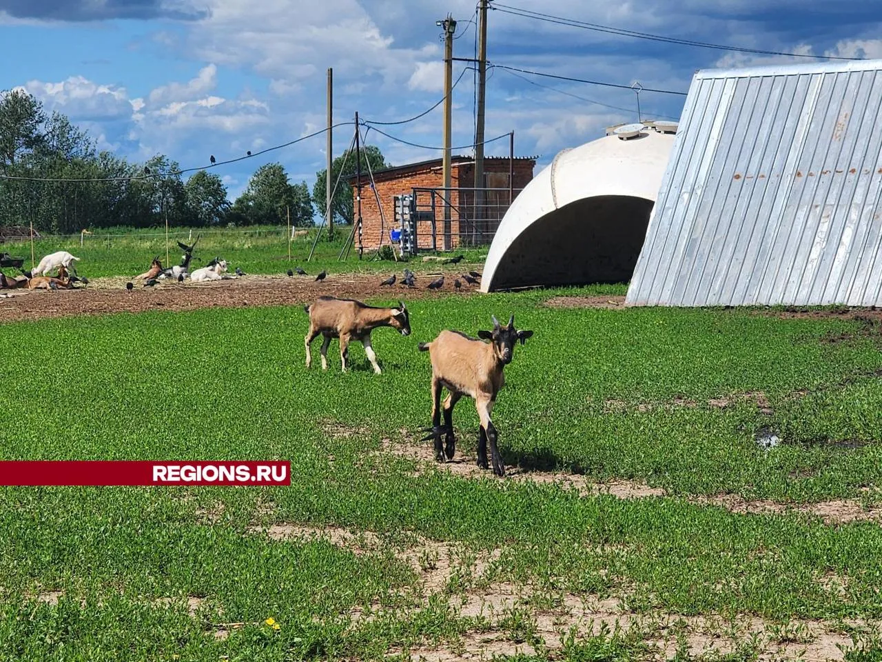 Фото: Дмитрий Беденко