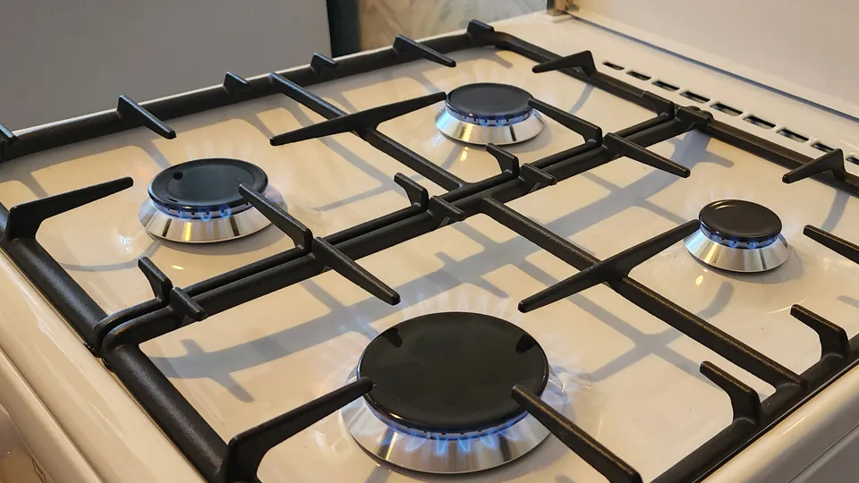 Фото: МедиаБанк Подмосковья/Анастасия Хренкова