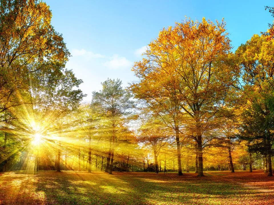 Осеннее равноденствие 22 сентября: история и приметы дня — как привлечь в жизнь деньги и любовь