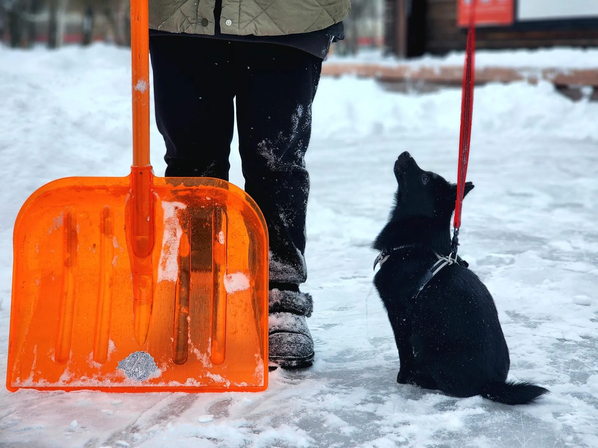 Фото: Мария Овчинникова