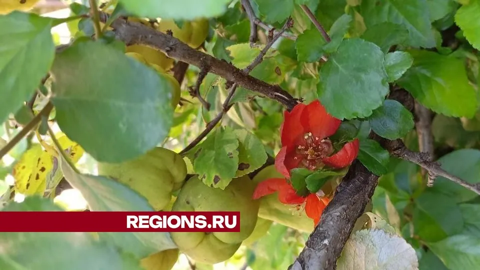 Фото: Светлана Пильчук