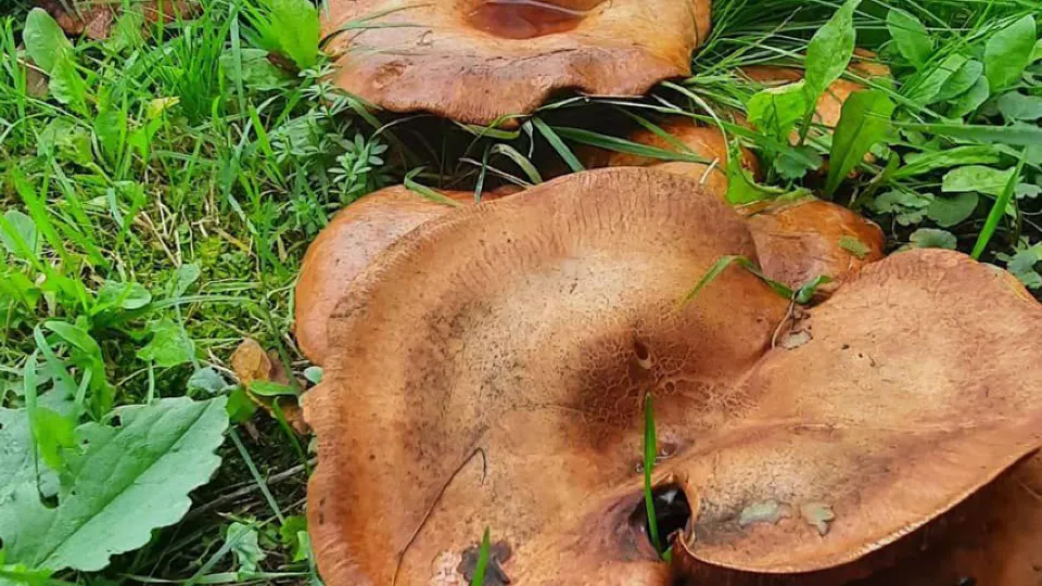 Фото: REGIONS/Роман Малышенко