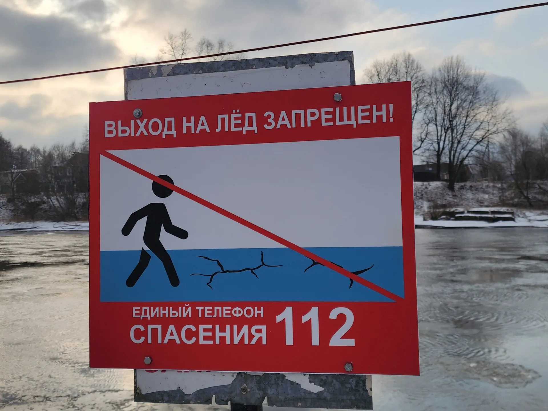 Фото: Хавива Фонина