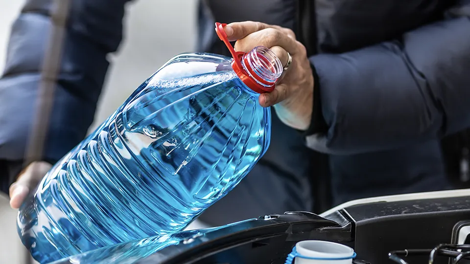 Фото: istockphoto.com/MarianVejcik