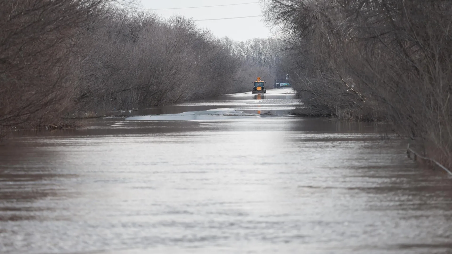 Andrey Titov/Business Online