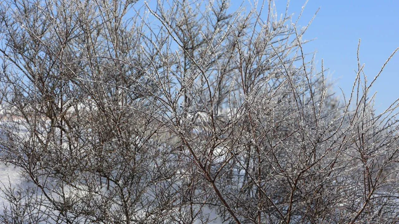 REGIONS/Роман Малышенко