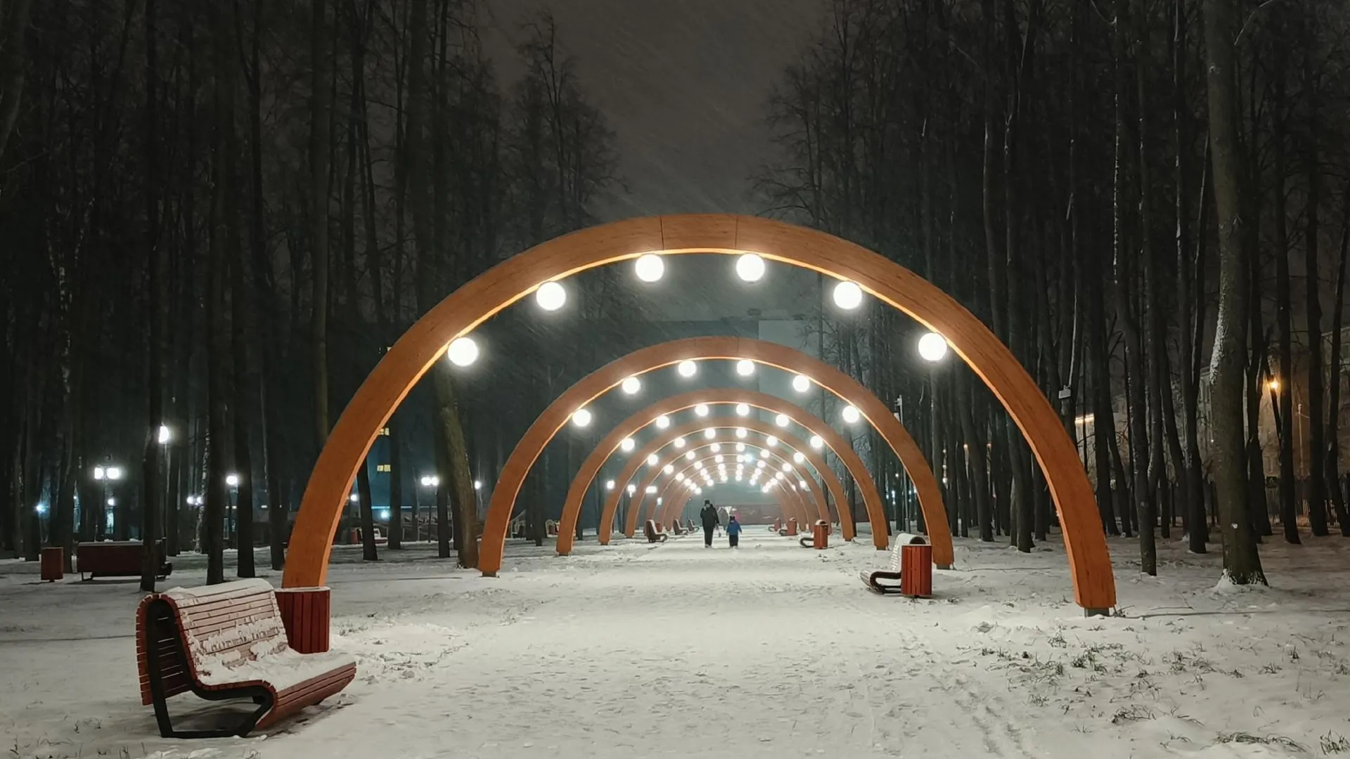 Наталья Лежнева