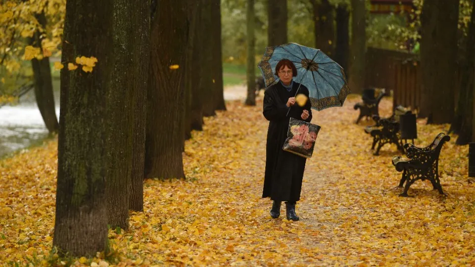 Фото: медиасток.рф