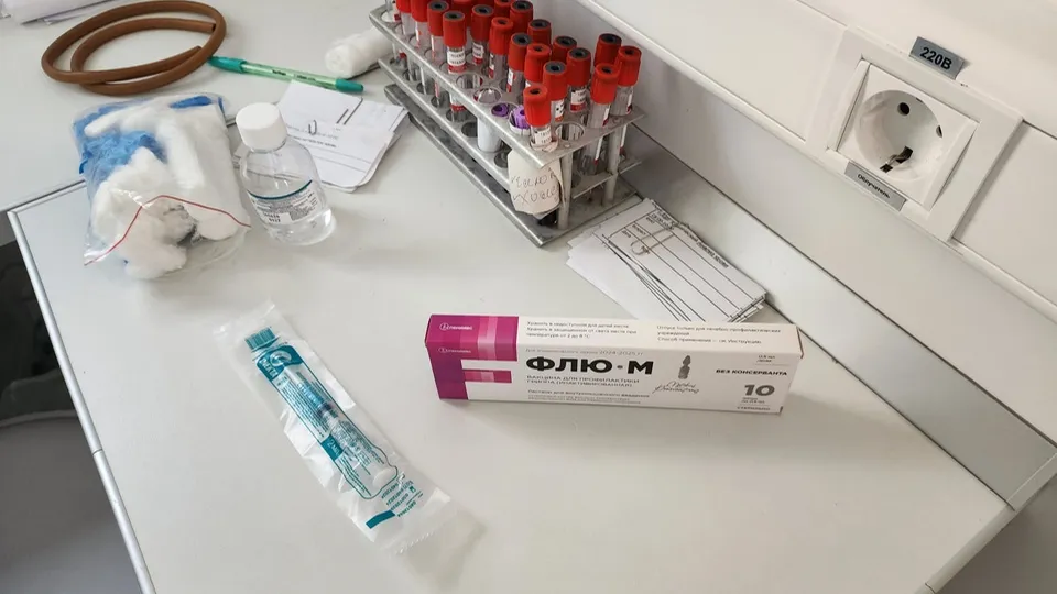 Фото: МедиаБанк Подмосковья/Михаил Мартыненко