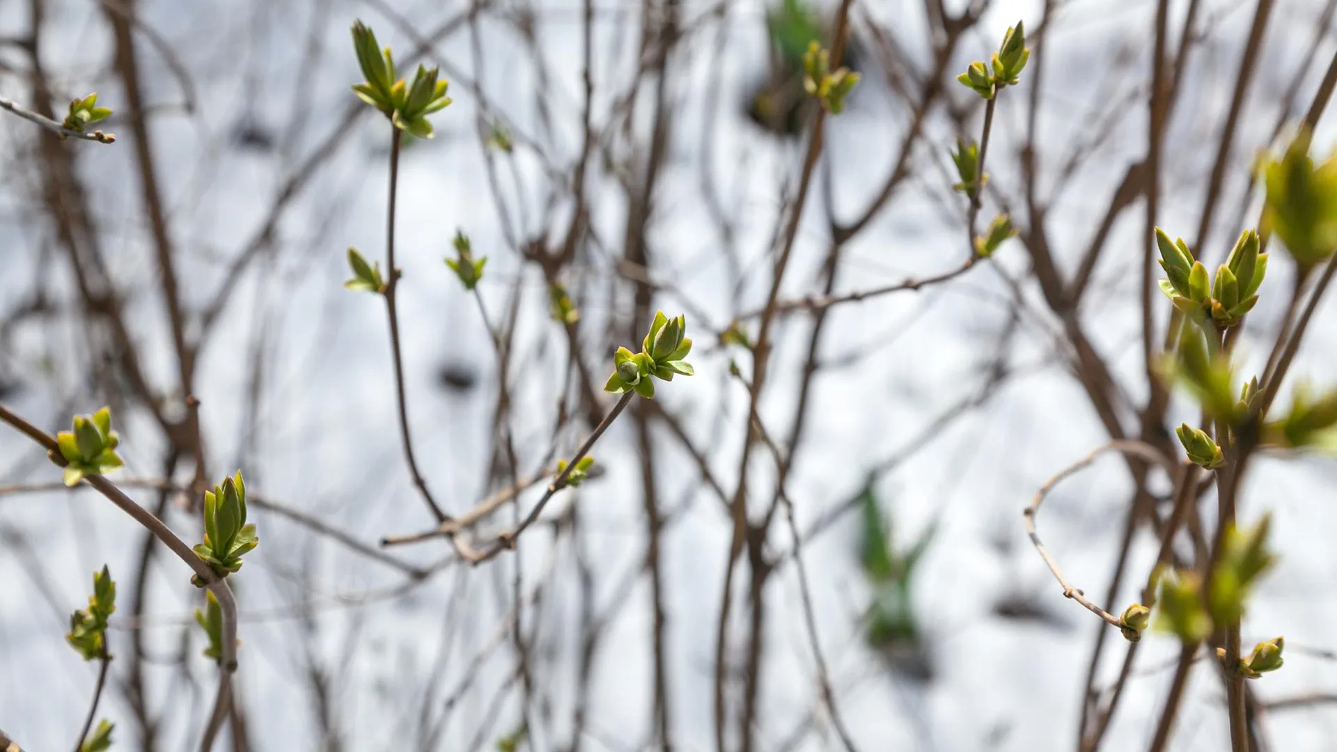 медиасток.рф