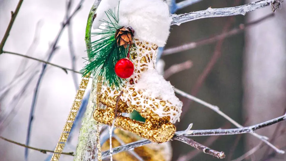 Фото: МАУК «Объединенная дирекция парков»