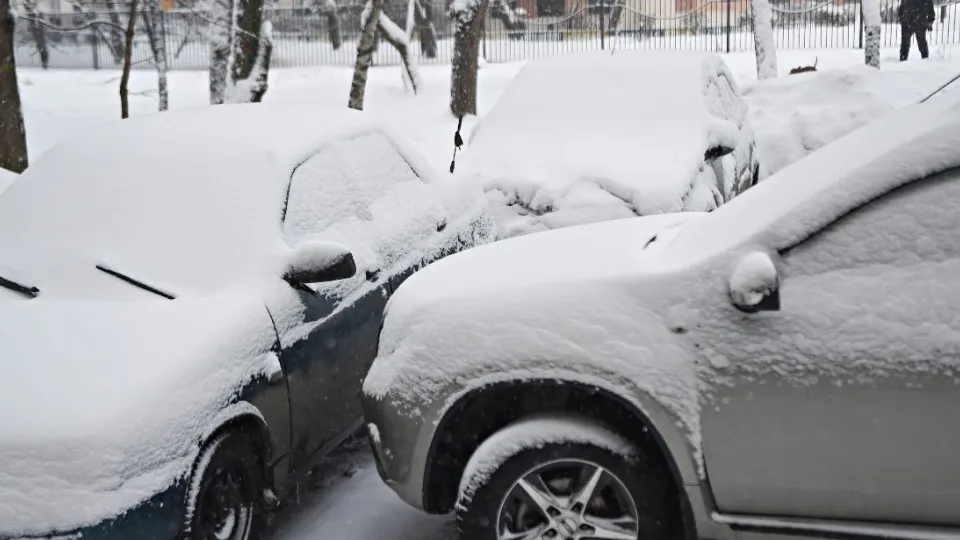 Фото: медиасток.рф