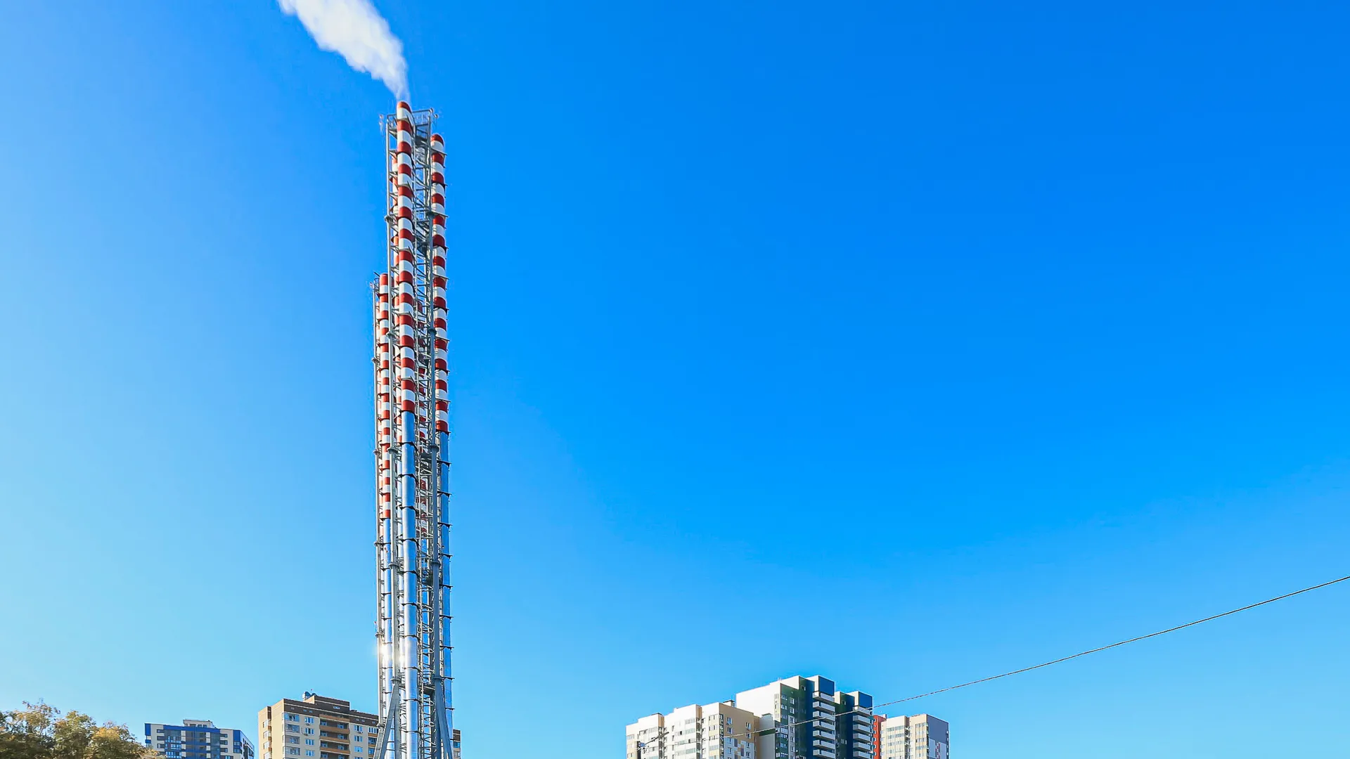 Фото: пресс-служба губернатора и правительства Московской области