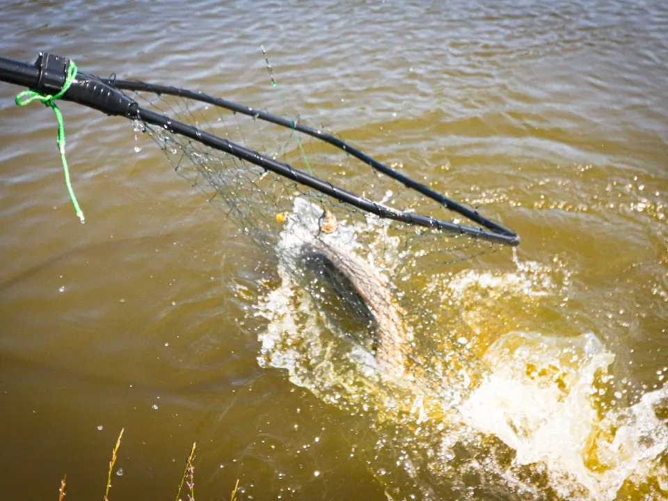 Фото: МедиаБанк Подмосковья/Данила Кирьянов