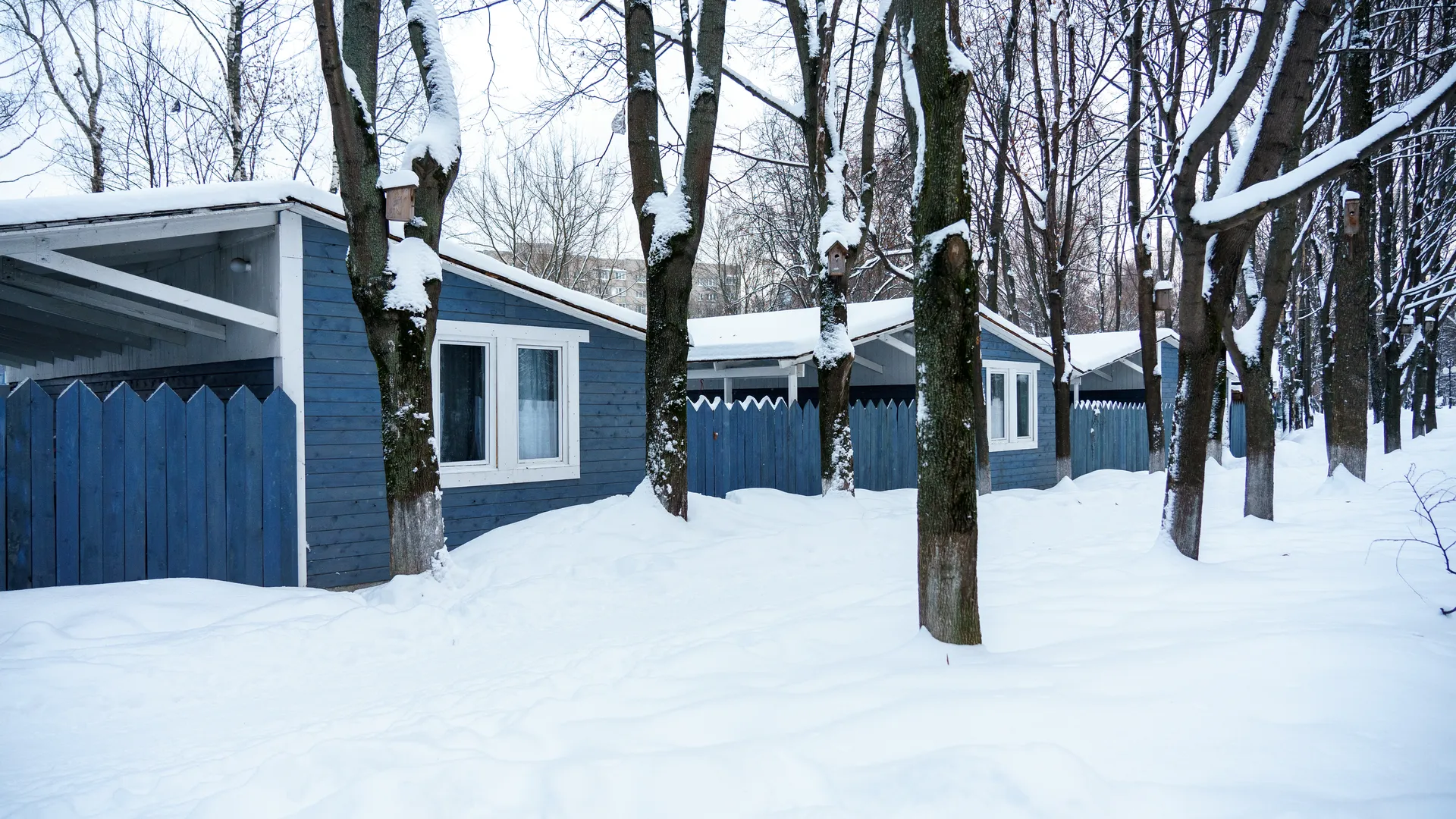 Незнакомец предложил подвезти: девочка из Дмитрова чудом избежала опасности — подробности тревожного инцидента