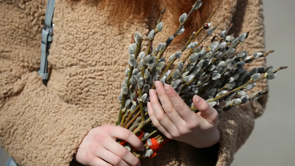 Фото: ТАСС/Кирилл Кухмарь