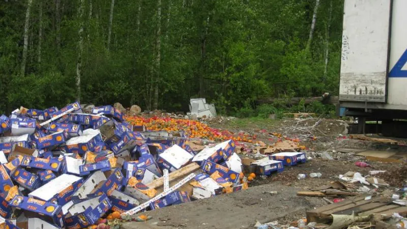 Штраф за свалку из апельсинов заплатит водитель в Красногорске