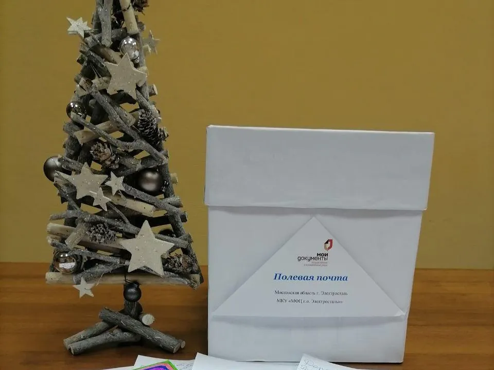 Фото: МФЦ г. о. Электросталь