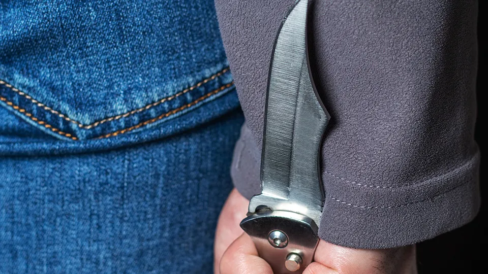 Фото: istockphoto.com/Dmytro Skrypnykov