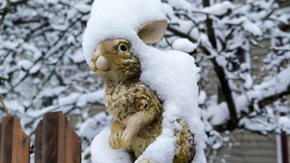 Фото: REGIONS/Роман Малышенко