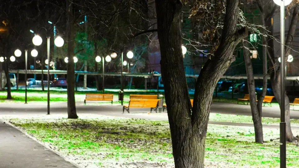 Фото: пресс-служба Министерства благоустройства Московской области