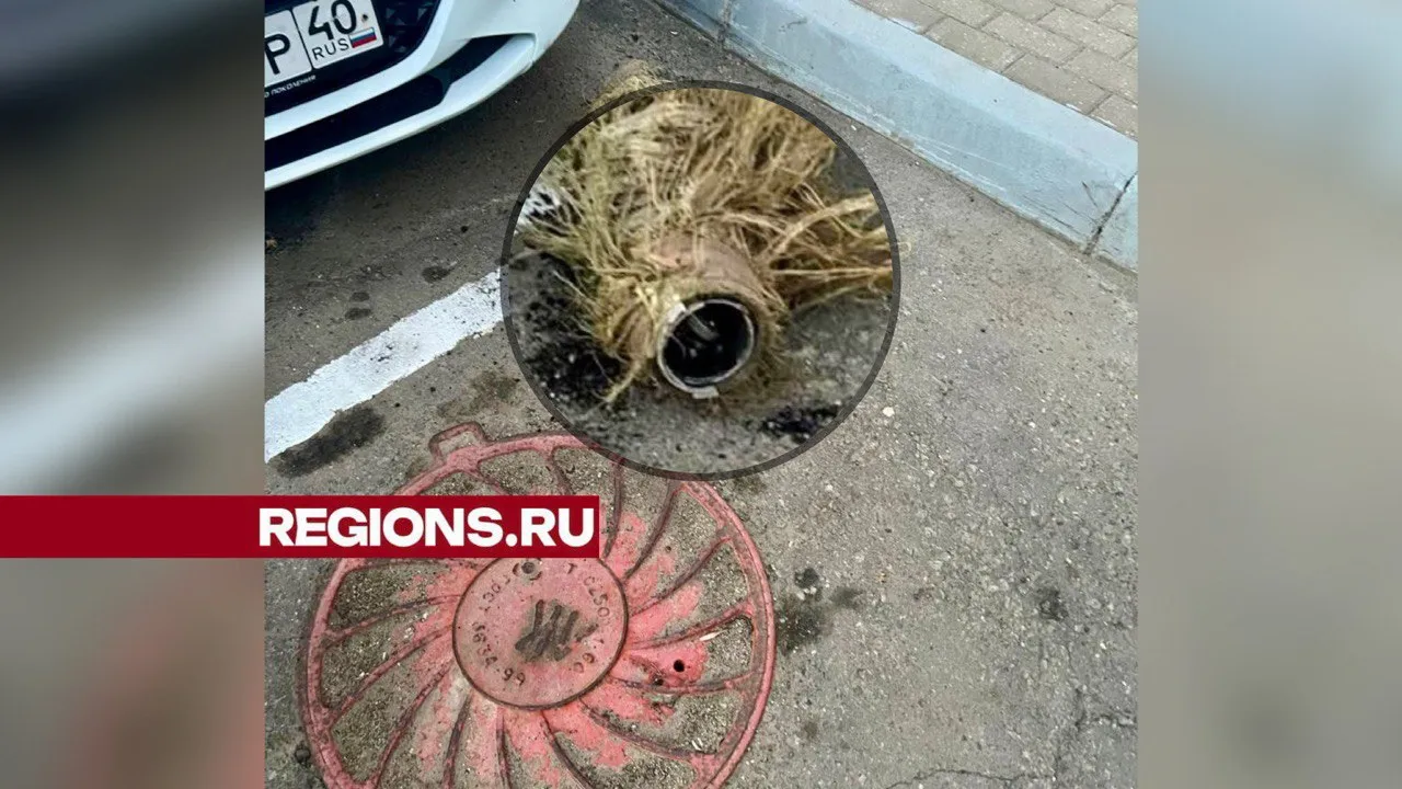 Фото: Андрей Савельев