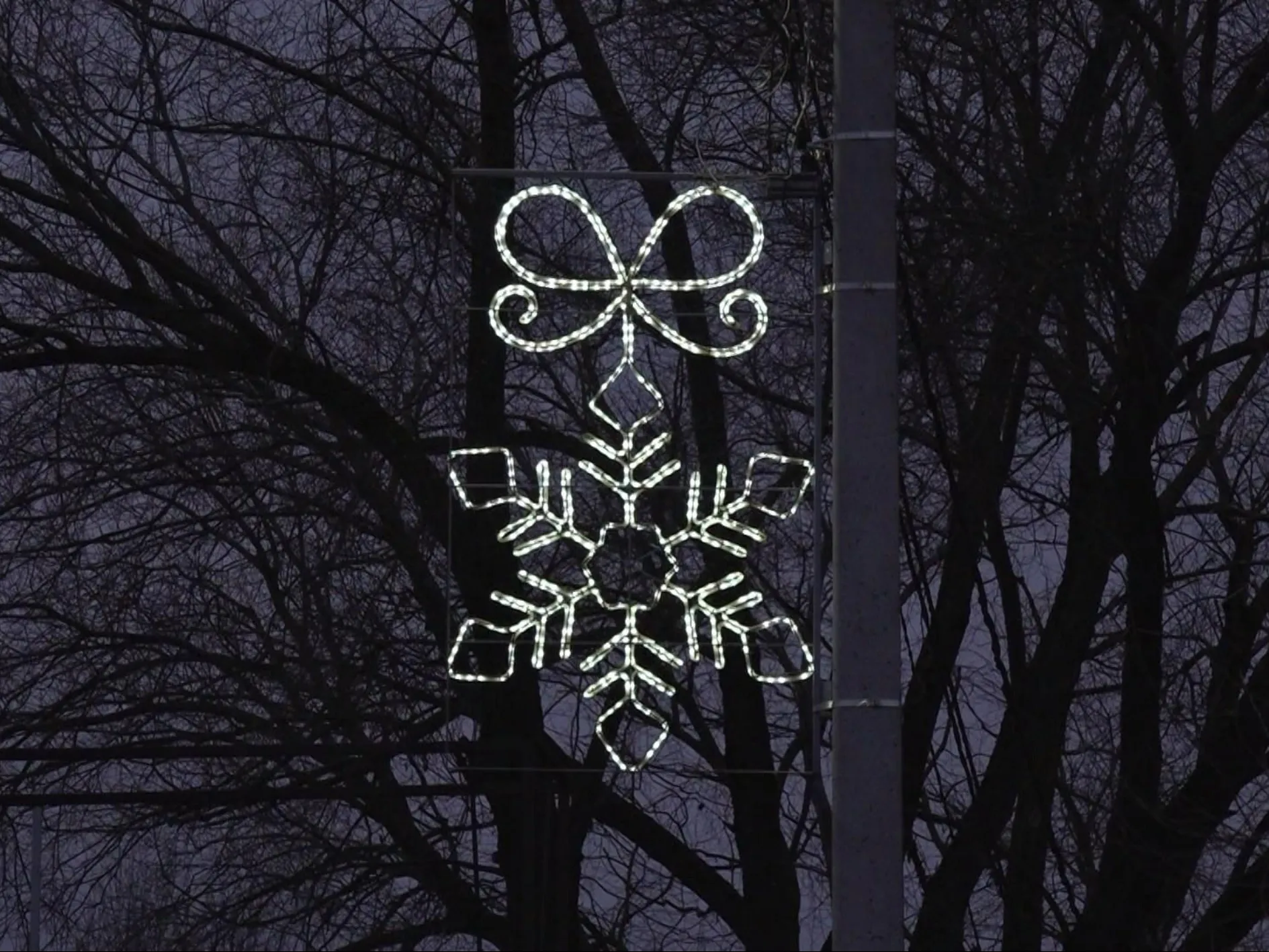 Фото: Раменский медиацентр