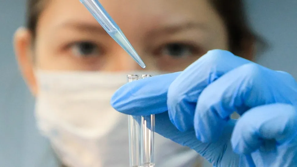 Фото: ТАСС/Дмитрий Рогулин