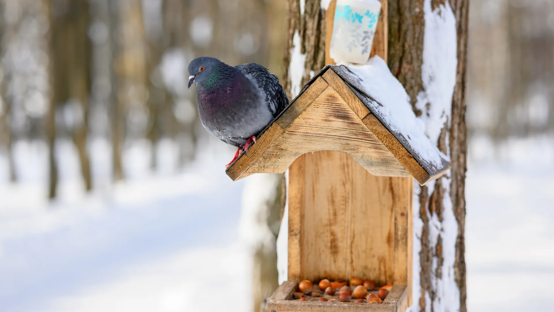 медиасток.рф